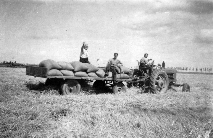 foto